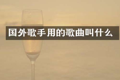 国外歌手用的歌曲叫什么