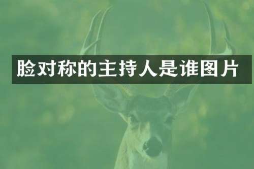 脸对称的主持人是谁图片