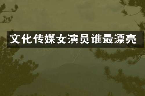 文化传媒女演员谁最漂亮