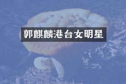 郭麒麟港台女明星