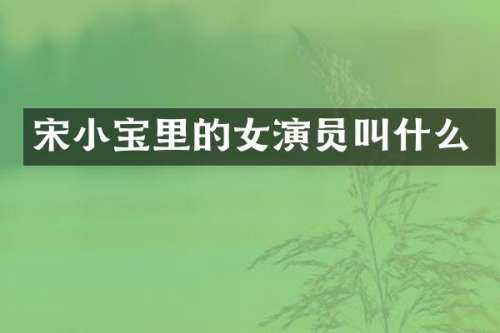 宋小宝里的女演员叫什么