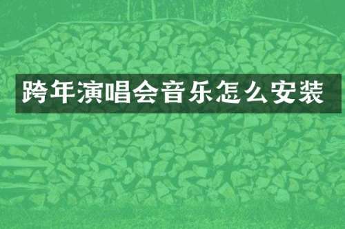 跨年演唱会音乐怎么安装