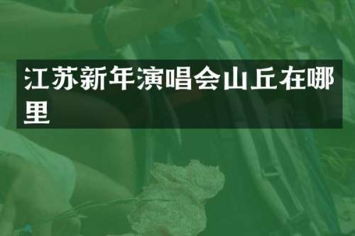 江苏新年演唱会山丘在哪里