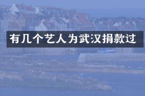 有几个艺人为武汉捐款过