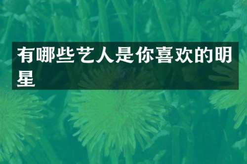 有哪些艺人是你喜欢的明星