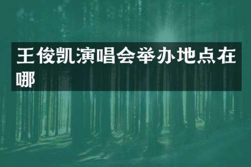 王俊凯演唱会举办地点在哪