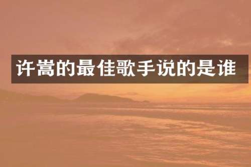 许嵩的最佳歌手说的是谁