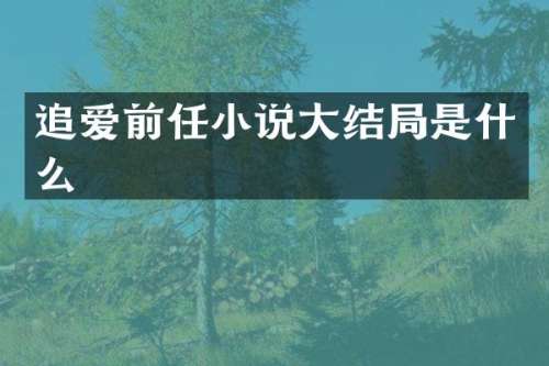 追爱前任小说大结局是什么