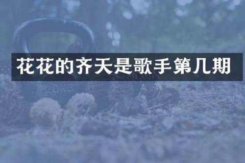 花花的齐天是歌手第几期
