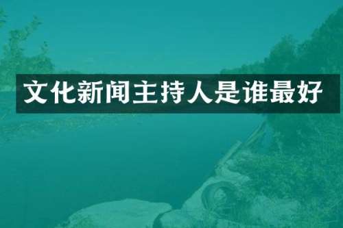 文化新闻主持人是谁最好
