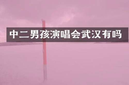 中二男孩演唱会武汉有吗