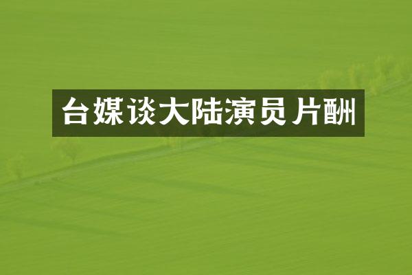 台媒谈大陆演员片酬