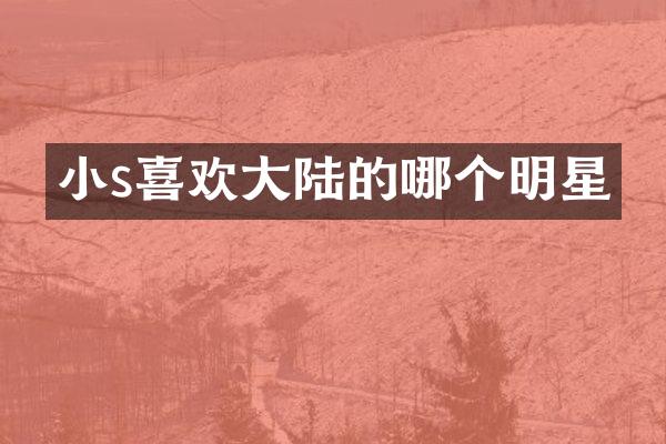 小s喜欢大陆的哪个明星