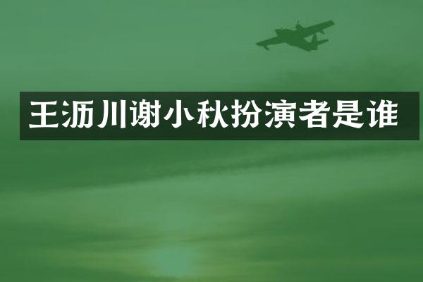 王沥川谢小秋扮演者是谁