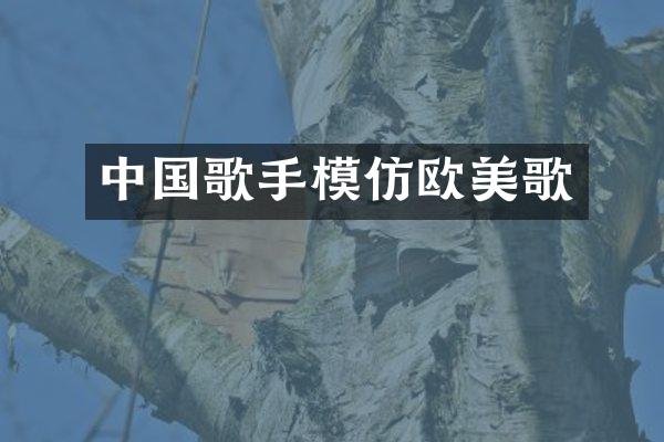 中国歌手模仿欧美歌