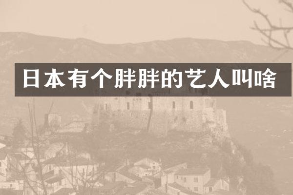 日本有个胖胖的艺人叫啥