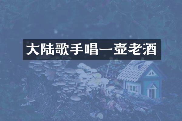 大陆歌手唱一壶老酒