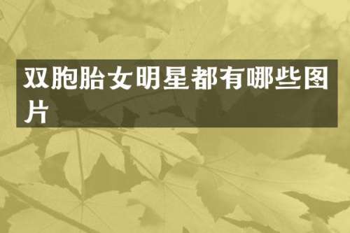 双胞胎女明星都有哪些图片