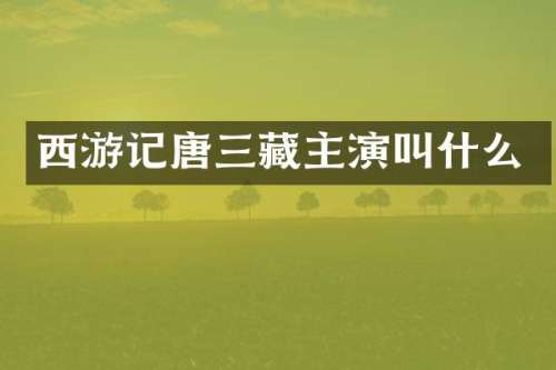 西游记唐三藏主演叫什么