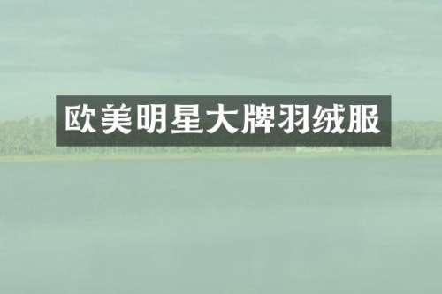 欧美明星大牌羽绒服
