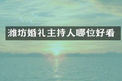 潍坊婚礼主持人哪位好看