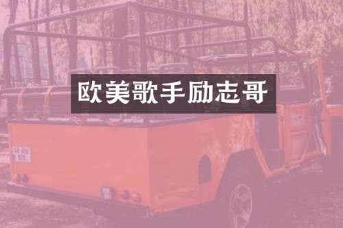 欧美歌手励志哥