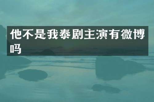 他不是我泰剧主演有微博吗