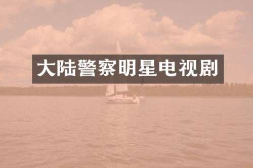 大陆警察明星电视剧
