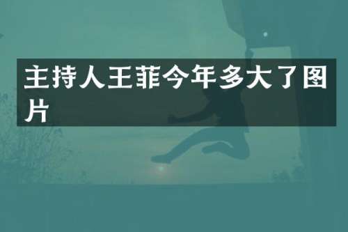 主持人王菲今年多大了图片