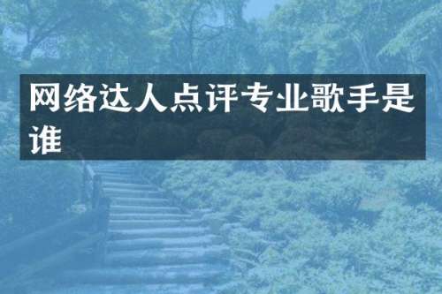 网络达人点评专业歌手是谁