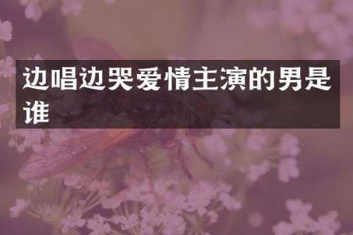 边唱边哭爱情主演的男是谁