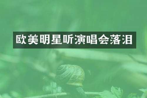 欧美明星听演唱会落泪