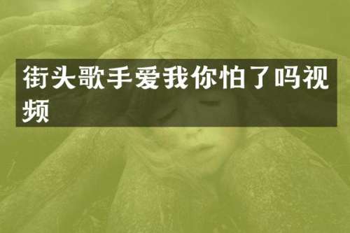 街头歌手爱我你怕了吗视频