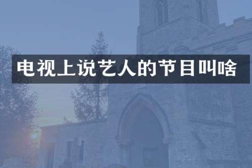 电视上说艺人的节目叫啥