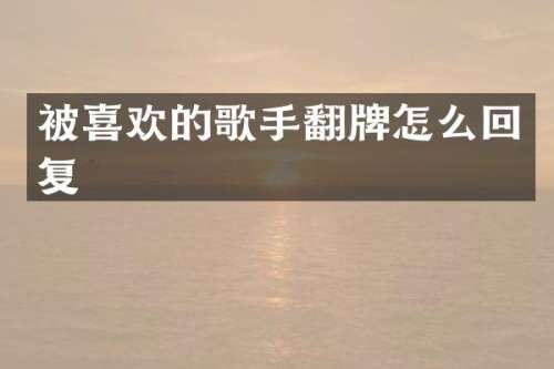被喜欢的歌手翻牌怎么回复