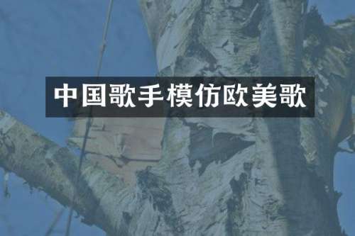 中国歌手模仿欧美歌