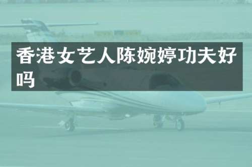 香港女艺人陈婉婷功夫好吗