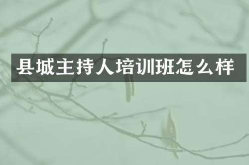 县城主持人培训班怎么样