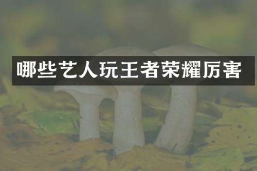 哪些艺人玩王者荣耀厉害