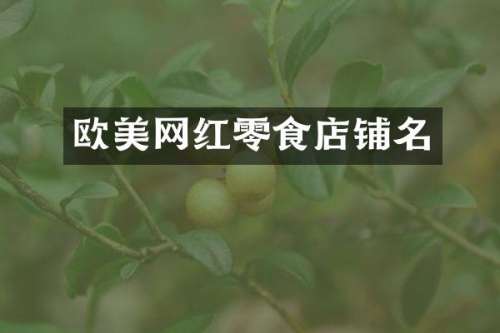 欧美网红零食店铺名