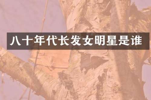 八十年代长发女明星是谁