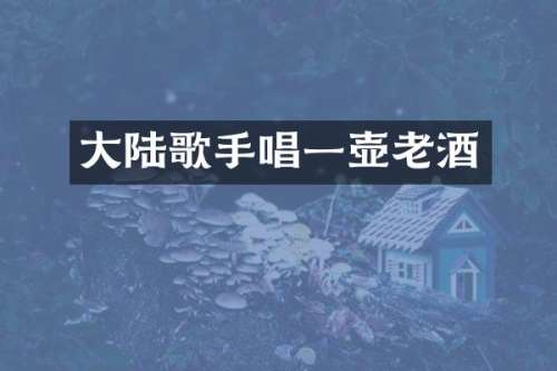 大陆歌手唱一壶老酒