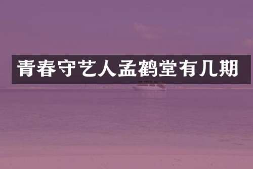 青春守艺人孟鹤堂有几期