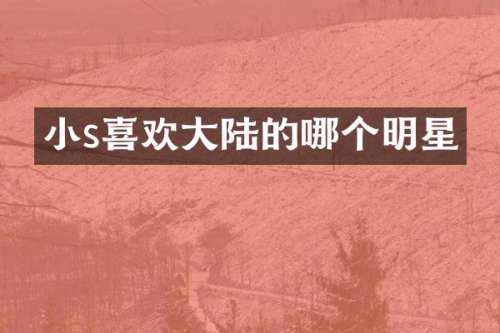 小s喜欢大陆的哪个明星