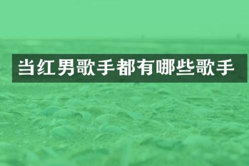 当红男歌手都有哪些歌手