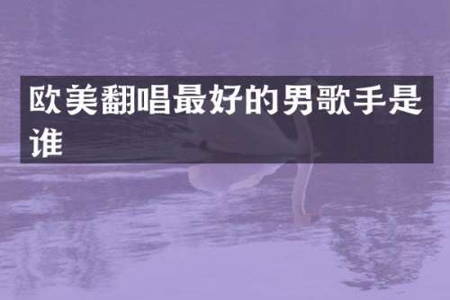 欧美翻唱最好的男歌手是谁