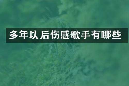 多年以后伤感歌手有哪些