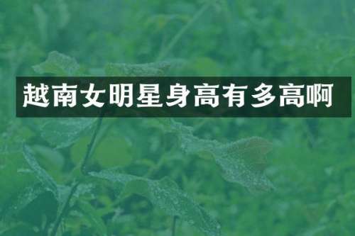 越南女明星身高有多高啊