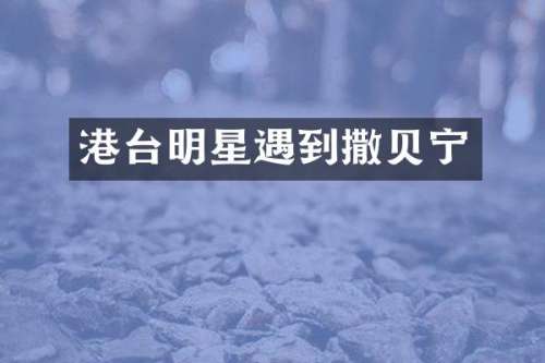 港台明星遇到撒贝宁