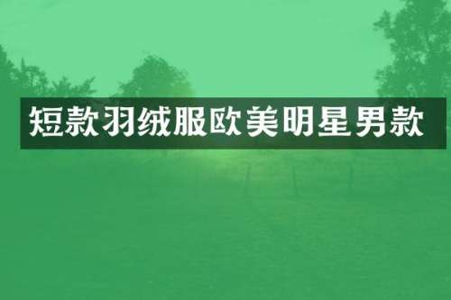 短款羽绒服欧美明星男款